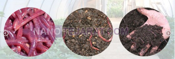  vermicompost-vermi-Compost-nademi